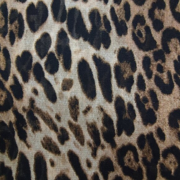 Sheer Sleeveless Leopard Print Dress - Picture 5 of 6